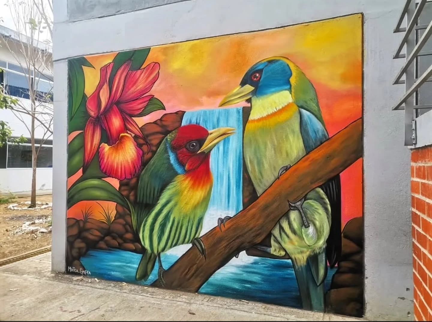 Mural de aves en colegio